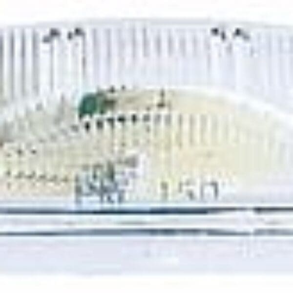 PETERSON INCANDESCENT UTILITY LIGHT PM150W